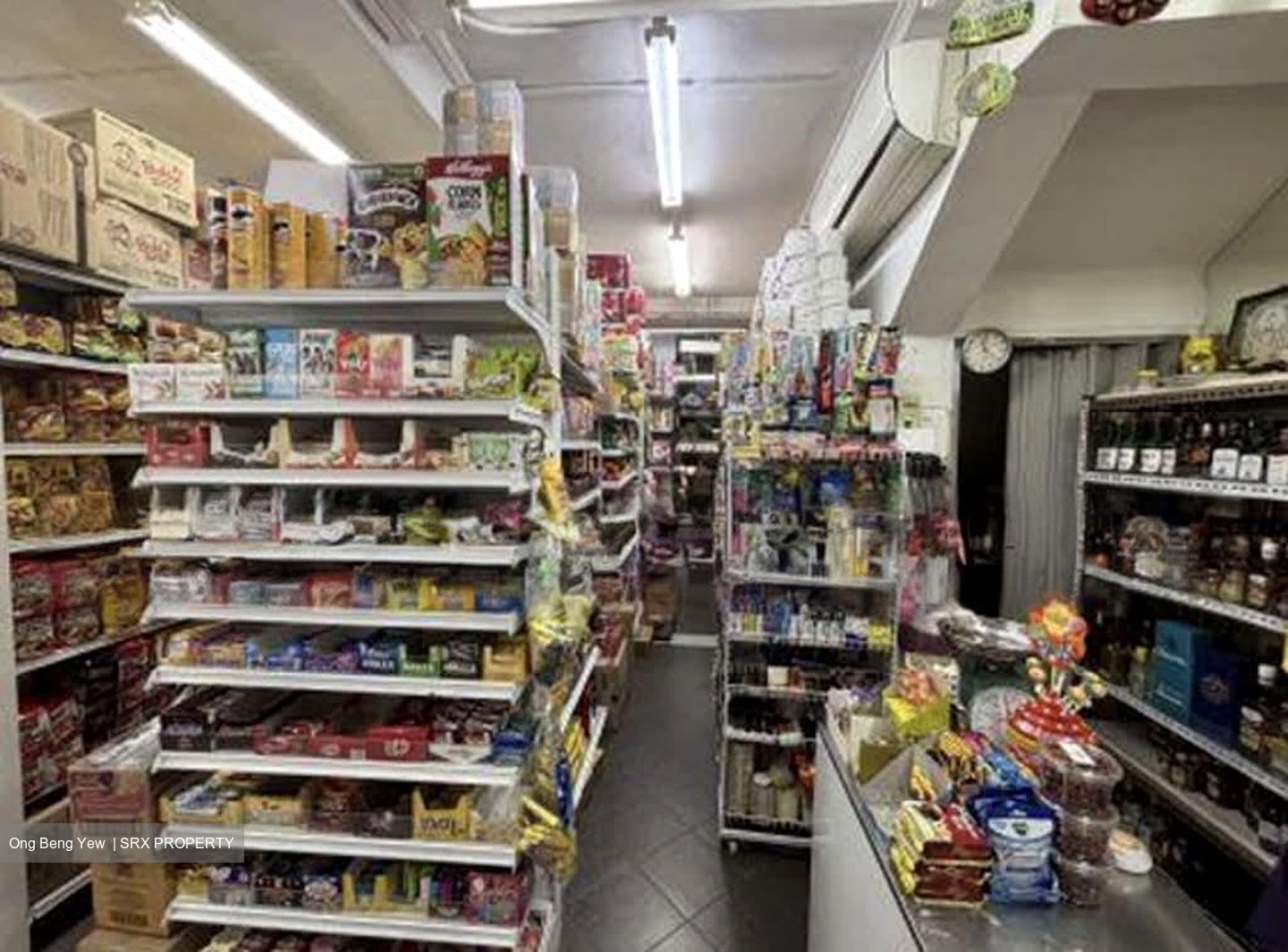 Indus Garden (D3), Shop House #554993971